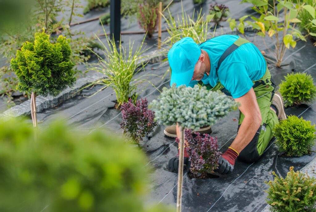 Ogrodnik pielęgnuje krzewy na agrotkaninie w Giardini Polska, wspierając zrównoważony design i standardy ESG.